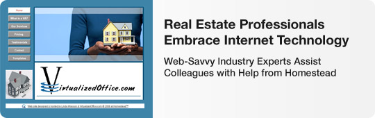 Real Estate Professionals Embrace Internet Technology